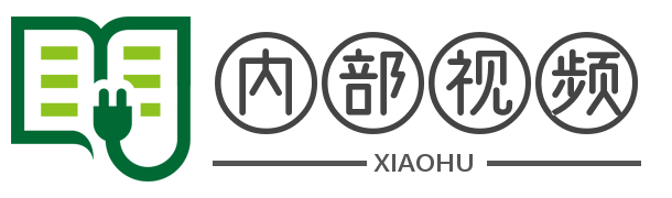 内部视频分享